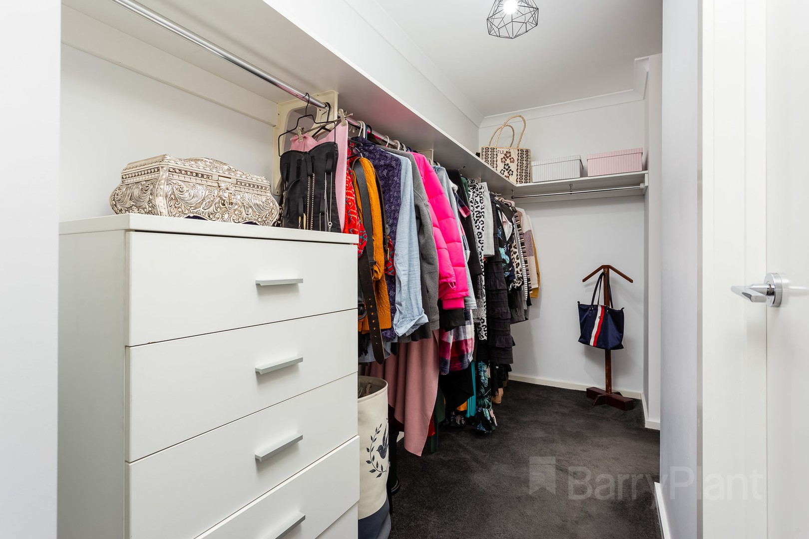 2/10B Ronald Terrace, Glenelg North, SA, 5045, Glenelg North - Thumbnail 5