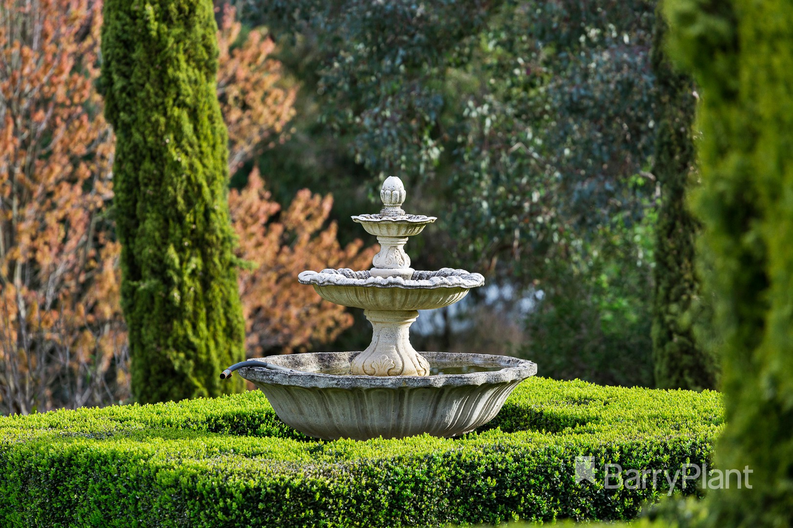 4 Lomond CourtWarrandyte, VIC 3113, Warrandyte - Thumbnail 2