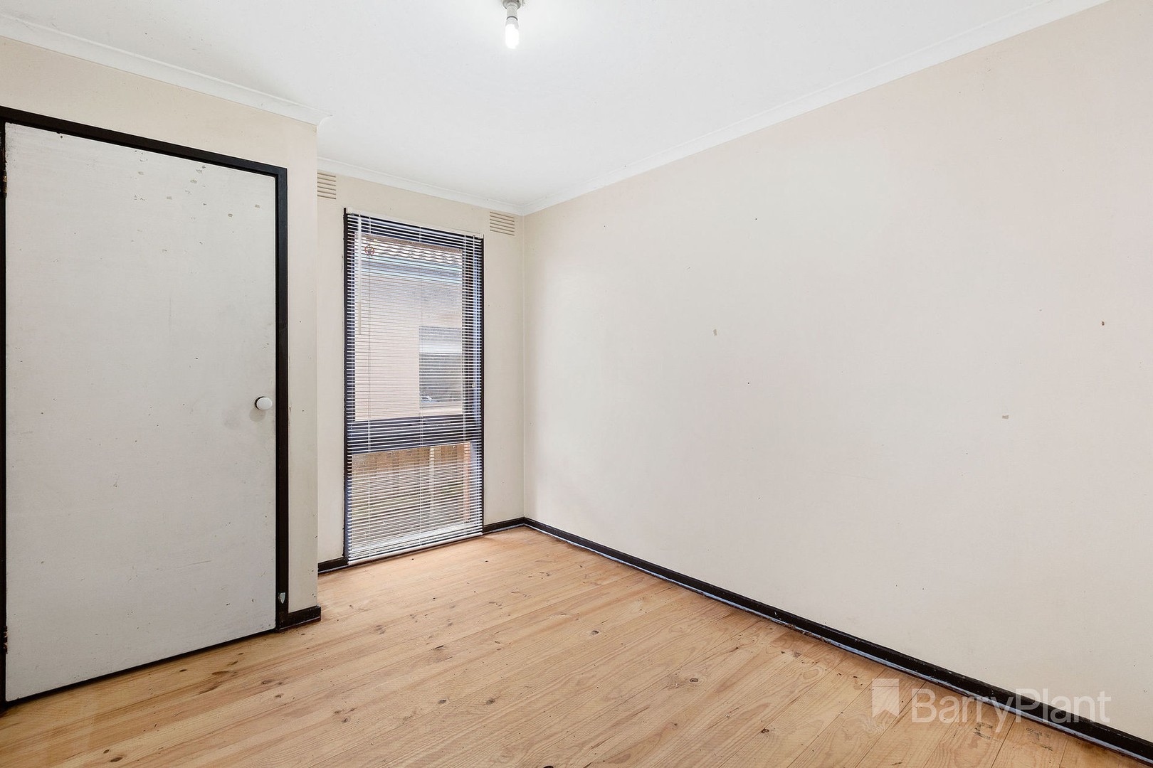 33 Queen Street, Randwick, NSW, 2031, Randwick - Thumbnail 7