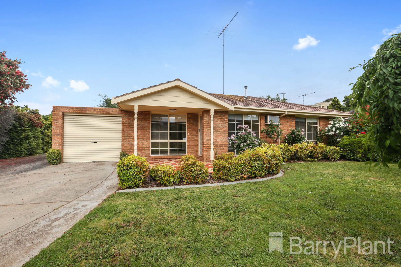31 Newland Street, Bondi Junction, NSW, 2022, Paddington - Image 1