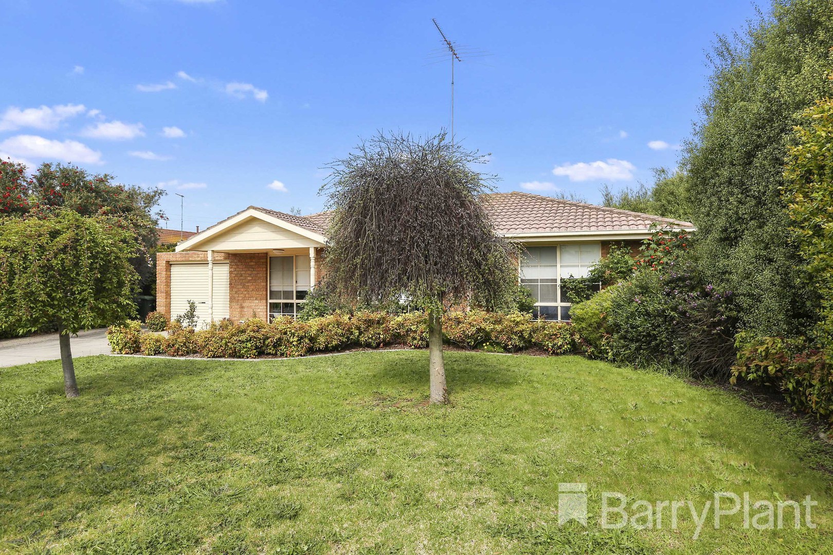 31 Newland Street, Bondi Junction, NSW, 2022, Paddington - Thumbnail 2