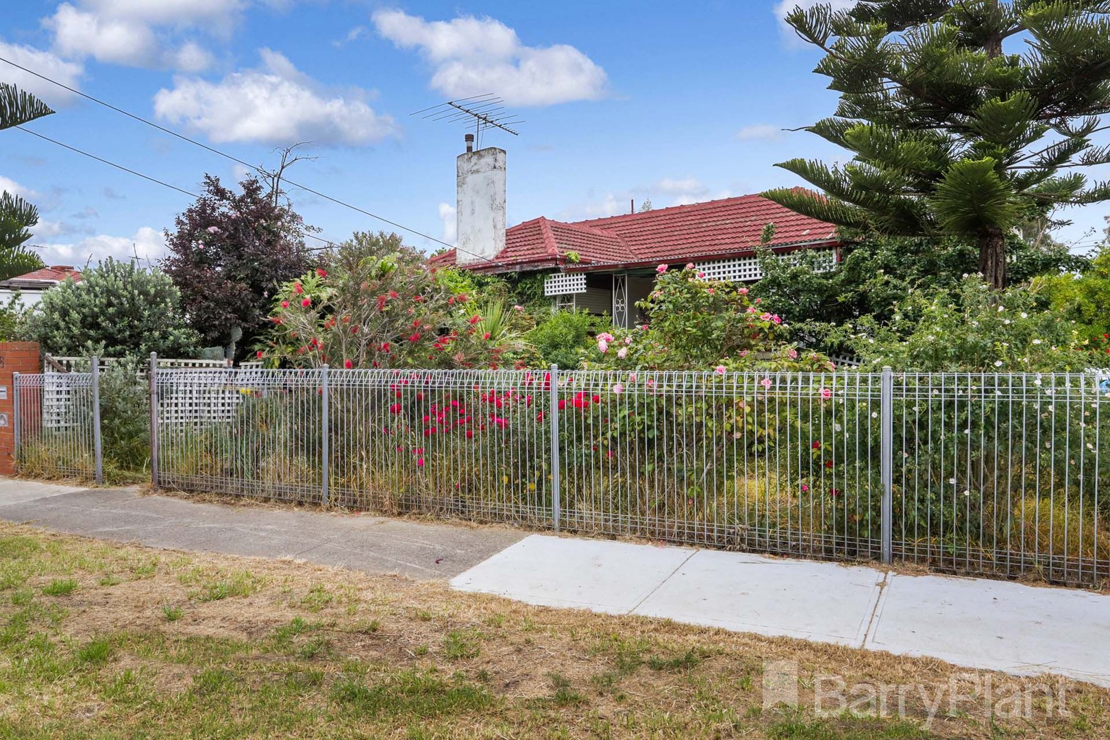 6 Clarendon StreetMaidstone, VIC 3012, Maidstone - Thumbnail 6
