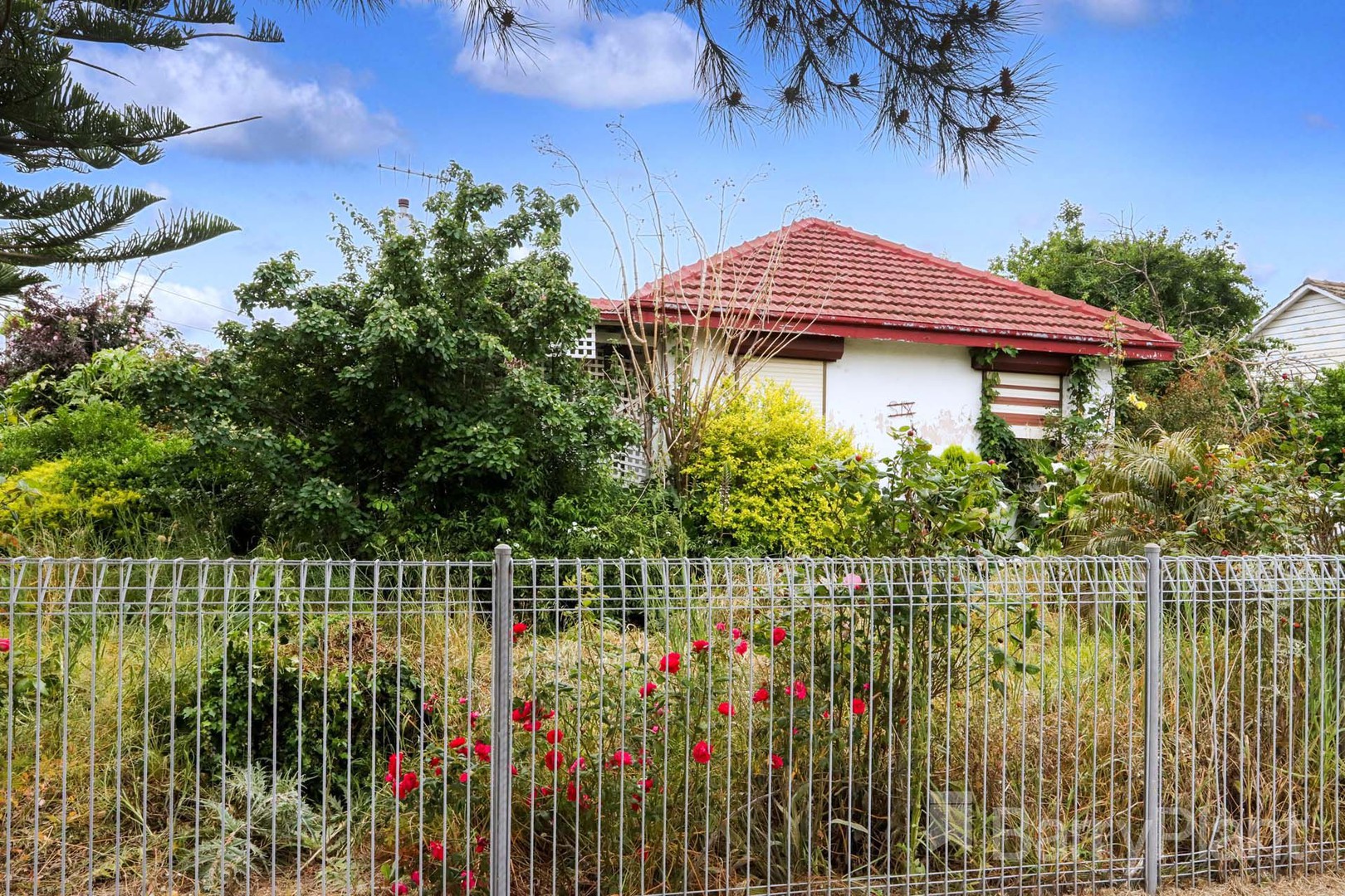 6 Clarendon StreetMaidstone, VIC 3012, Maidstone - Thumbnail 7