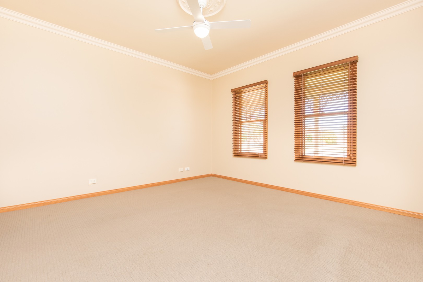 125 Dyar AvenueMildura, VIC 3500, Mildura - Thumbnail 6
