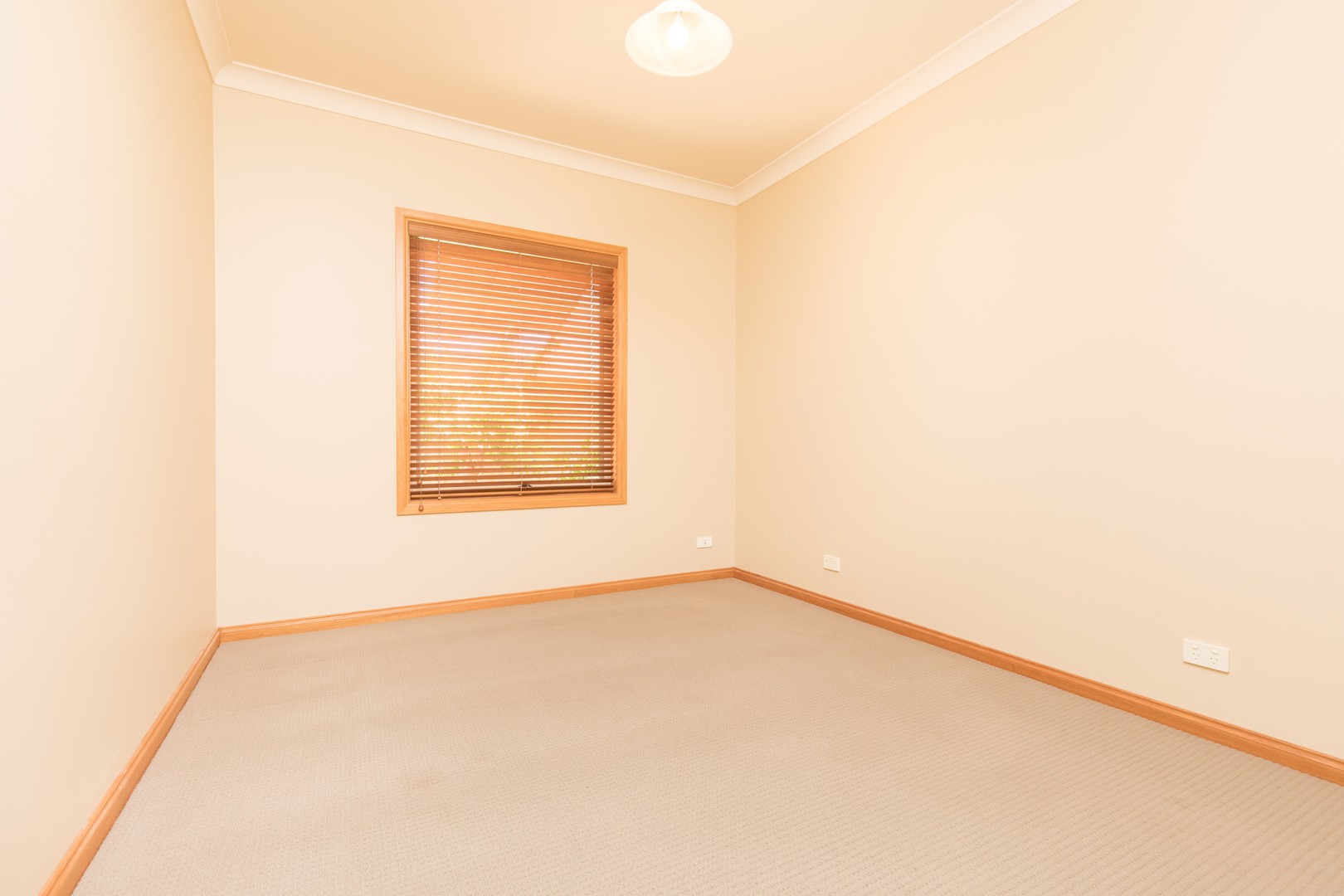 125 Dyar AvenueMildura, VIC 3500, Mildura - Thumbnail 8