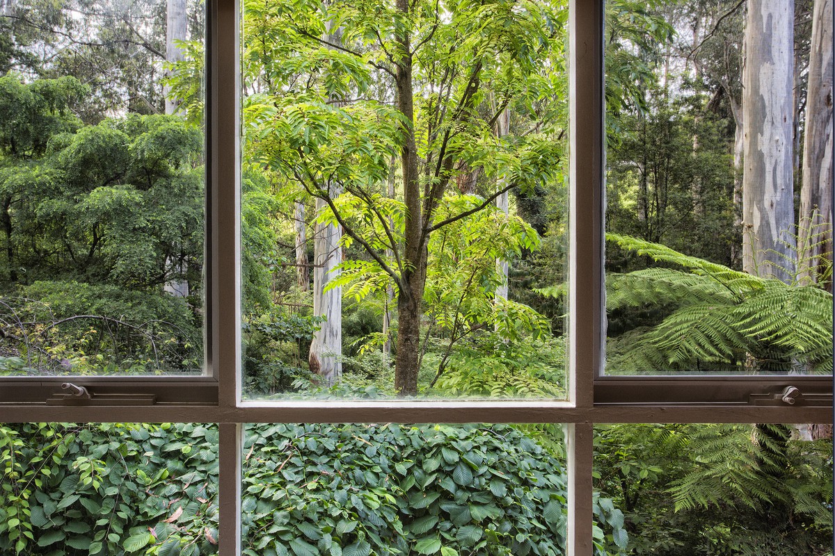 7 Lisheen RoadCockatoo, VIC 3781, Cockatoo - Thumbnail 5