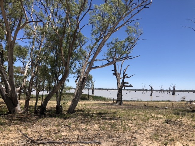 142 Dry Lake Road, Euston, NSW 2737 - Thumbnail 1 - 26/11/2020