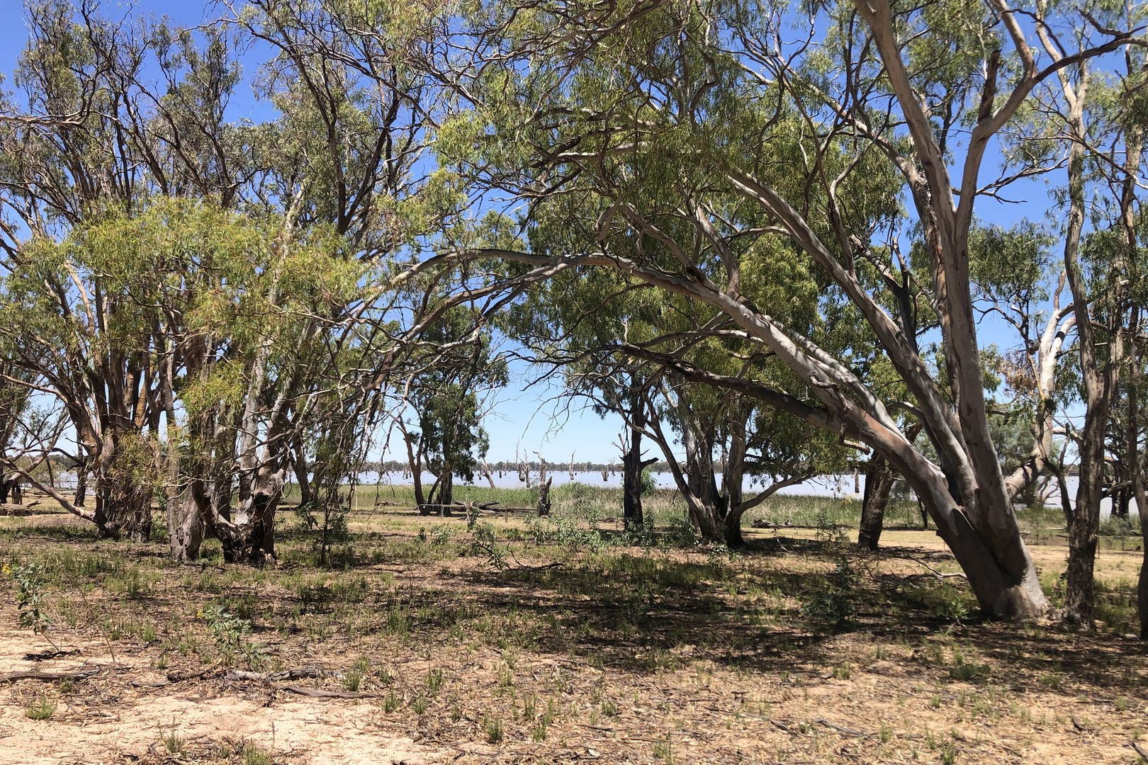 142 Dry Lake Road, Euston, NSW 2737 - Thumbnail 2 - 26/11/2020