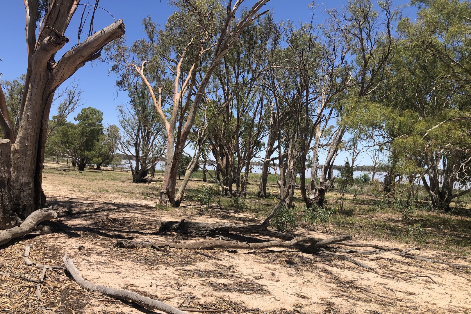 142 Dry Lake RoadEuston, NSW 2737, Euston - Thumbnail 4