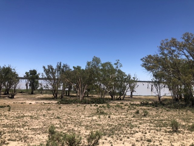 142 Dry Lake RoadEuston, NSW 2737, Euston - Thumbnail 5