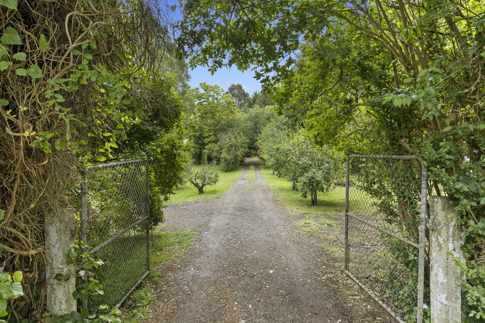 15 Chum Creek RoadHealesville, VIC 3777, Healesville - Thumbnail 5
