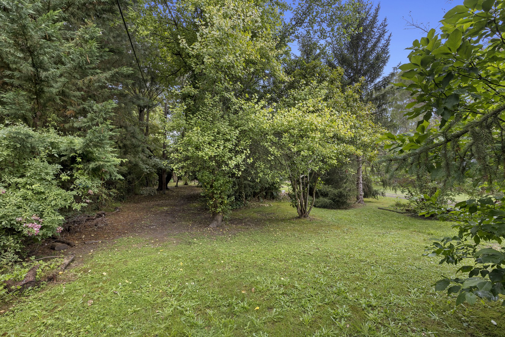 15 Chum Creek RoadHealesville, VIC 3777, Healesville - Thumbnail 7