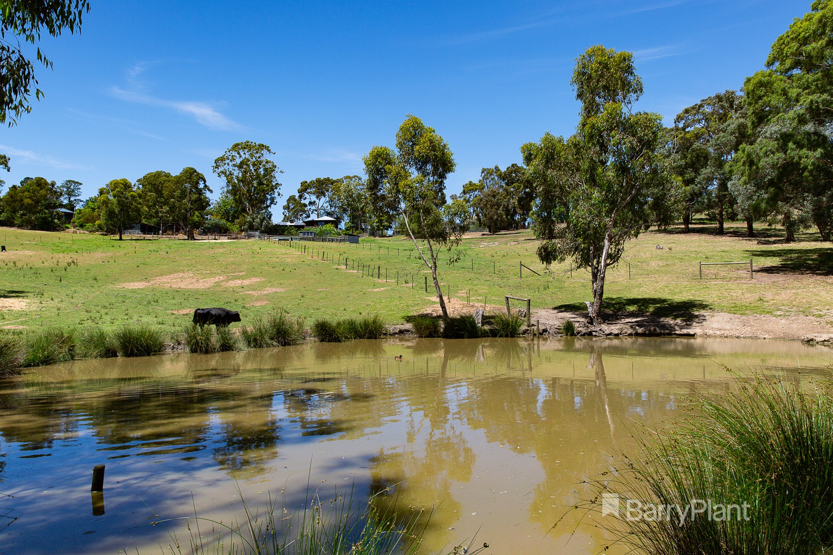 14 Margaret Street, Research, VIC 3095, Research - Thumbnail 7