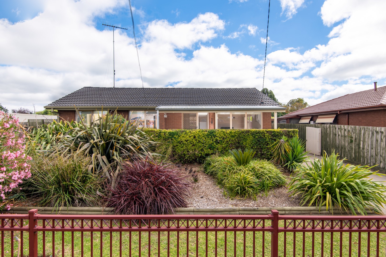 43 Hickey StreetWhittington, VIC 3219, Whittington - Thumbnail 2