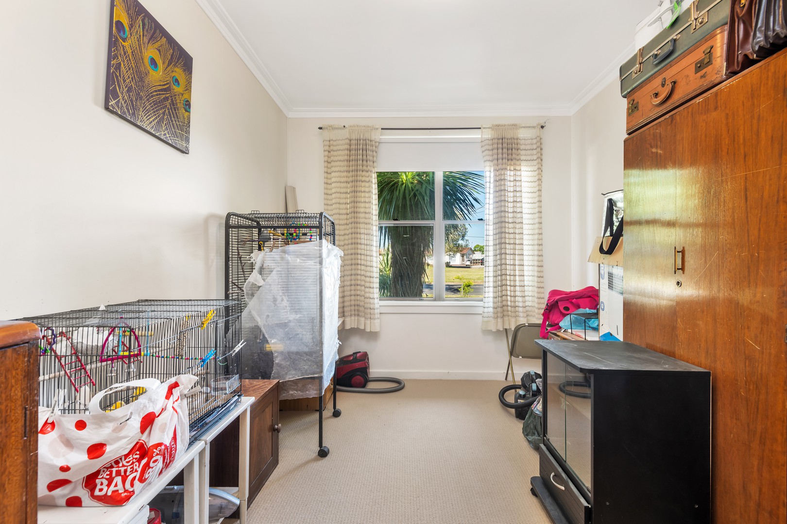 102 Robin AvenueNorlane, VIC 3214, Norlane - Thumbnail 7