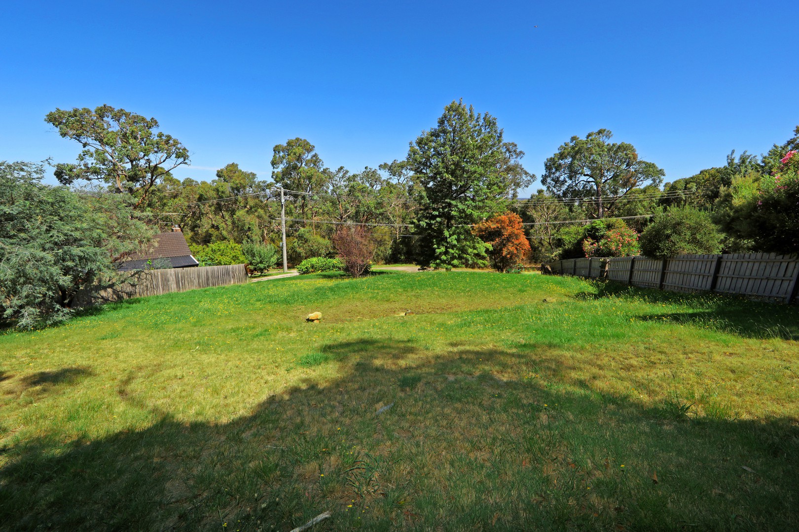 222 Forest RoadBoronia, VIC 3155, Boronia - Thumbnail 4