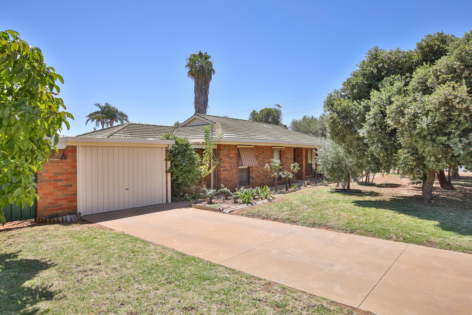 199 Thirteenth StreetMildura, VIC 3500, Mildura - Thumbnail 6