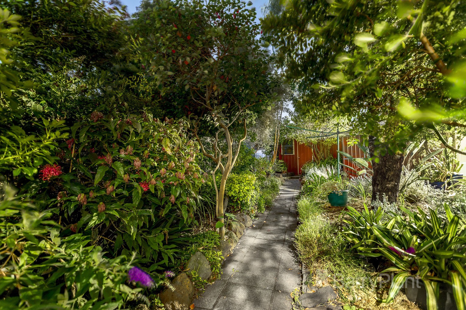 11 Crabtree CourtBundoora, VIC 3083, Bundoora - Thumbnail 6