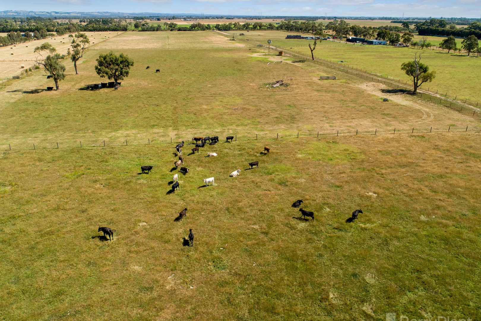 215 Evans RoadLongwarry, VIC 3816, Longwarry - Thumbnail 4