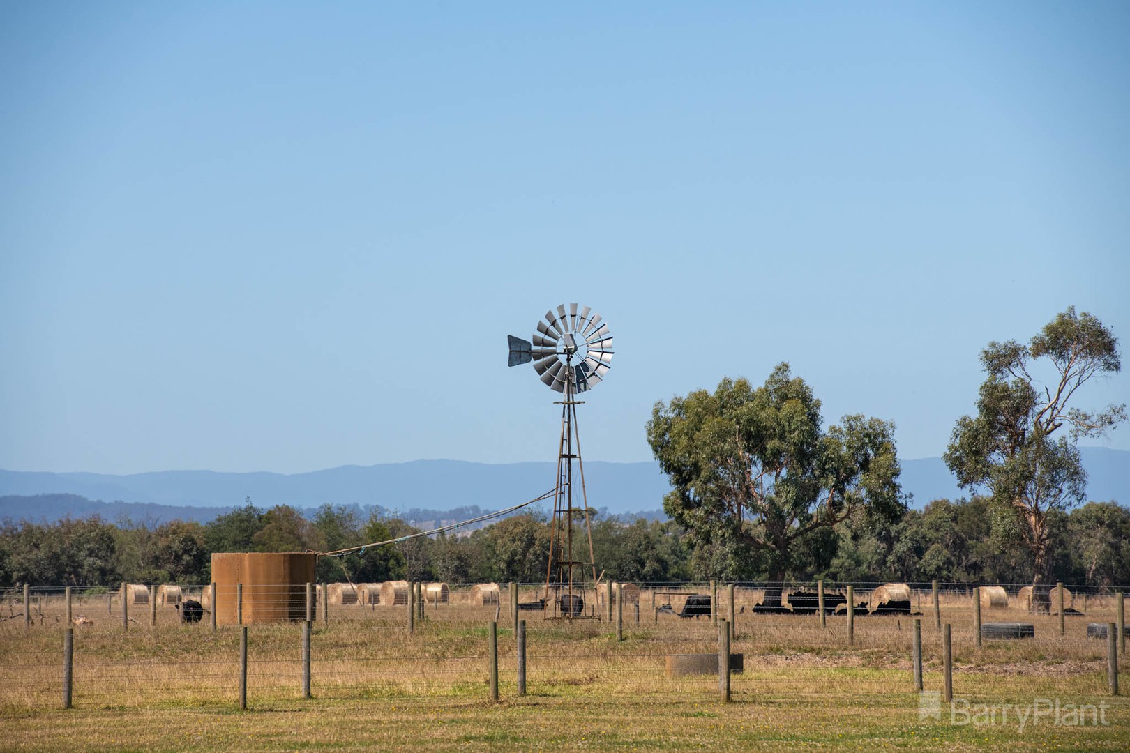 215 Evans RoadLongwarry, VIC 3816, Longwarry - Thumbnail 6