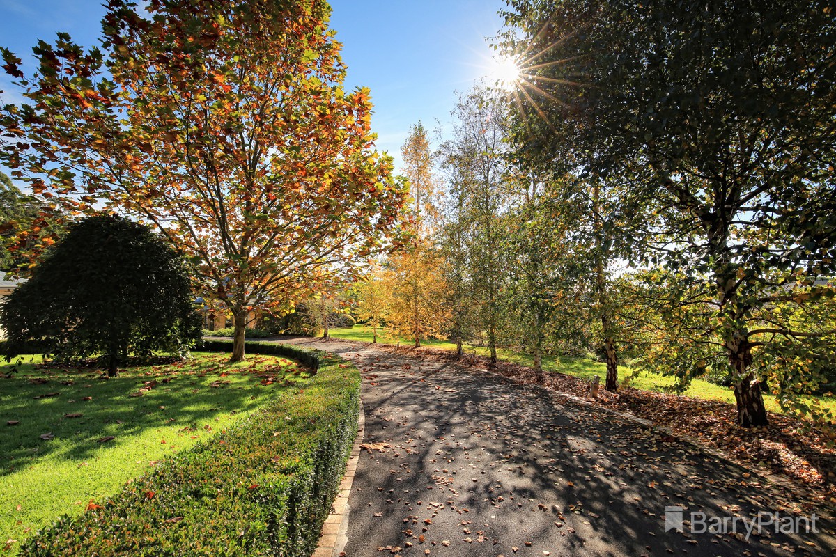 11 Bond LaneGembrook, VIC 3783, Gembrook - Thumbnail 4