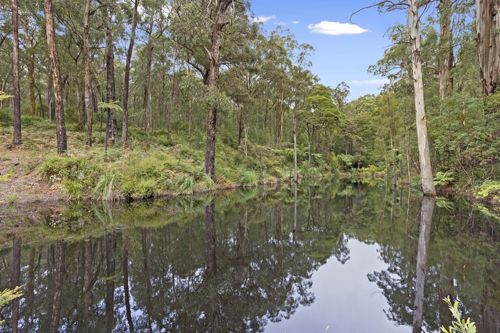 440 Jameson RoadHoddles Creek, VIC 3139, Hoddles Creek - Thumbnail 3