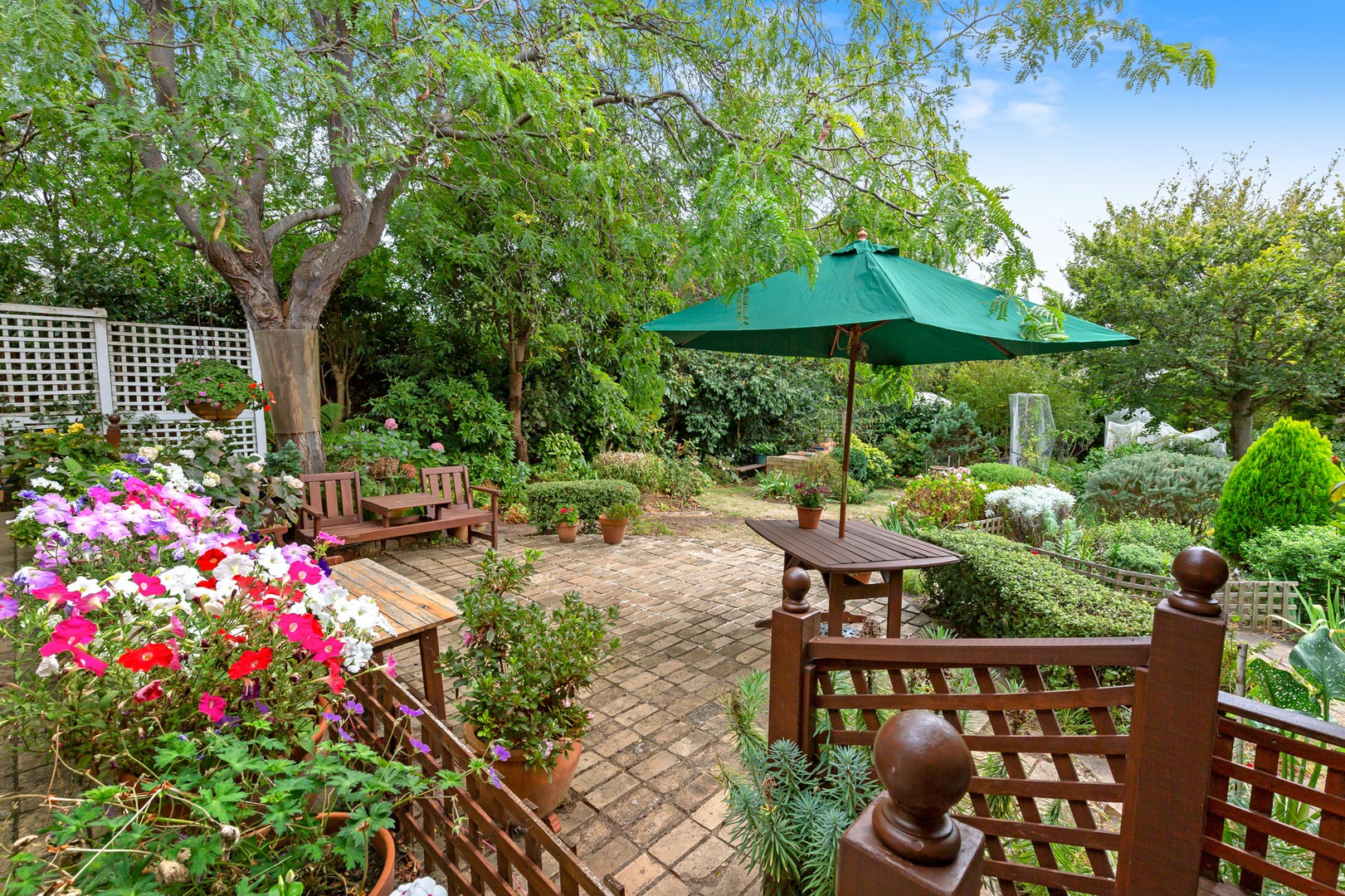 13 Allen DriveMount Eliza, VIC 3930, Mount Eliza - Thumbnail 3