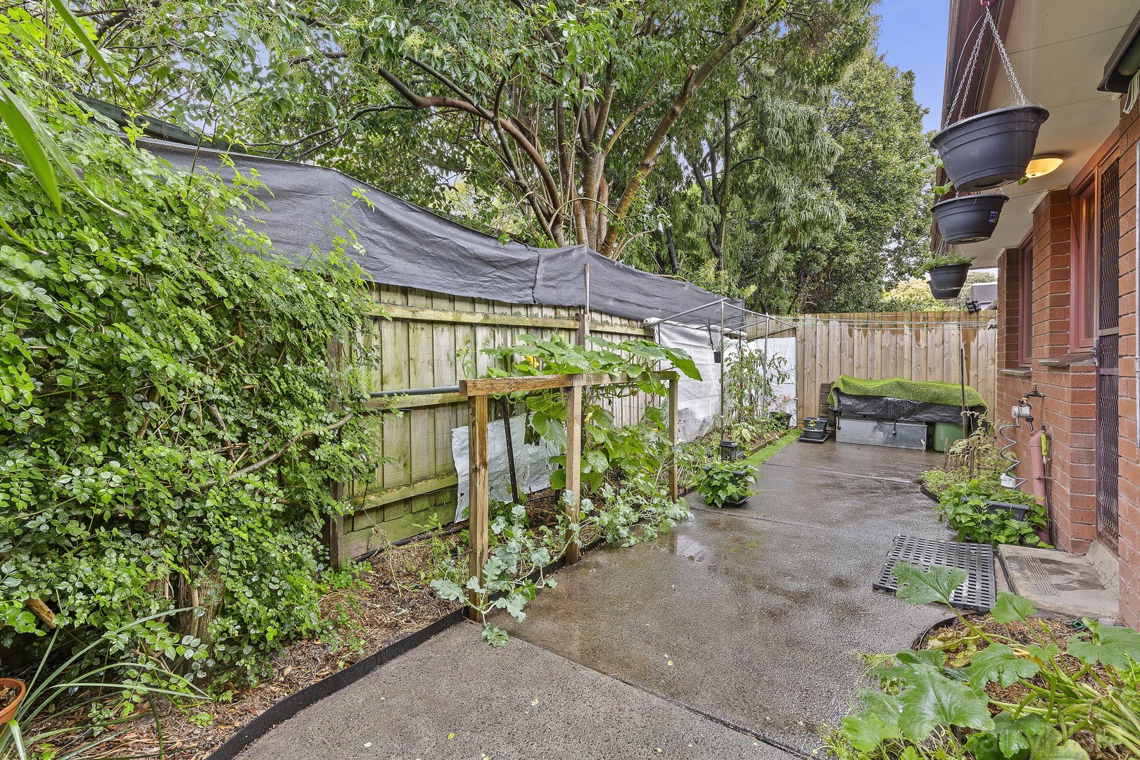 4/50 Warrandyte RoadRingwood, VIC 3134, Ringwood - Thumbnail 8