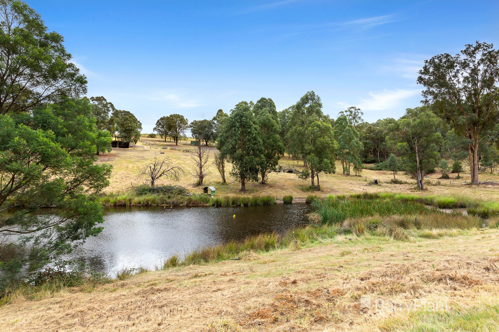 530 Hildebrand RoadSt Andrews, VIC 3761, St Andrews - Thumbnail 8