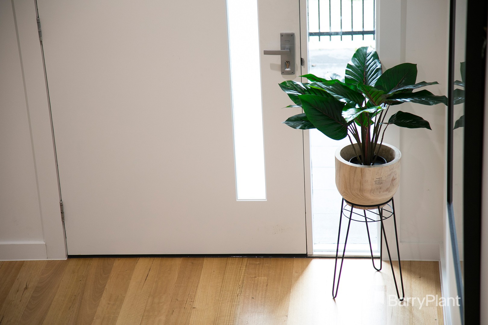 1C Jamieson StreetCoburg, VIC 3058, Coburg - Thumbnail 6