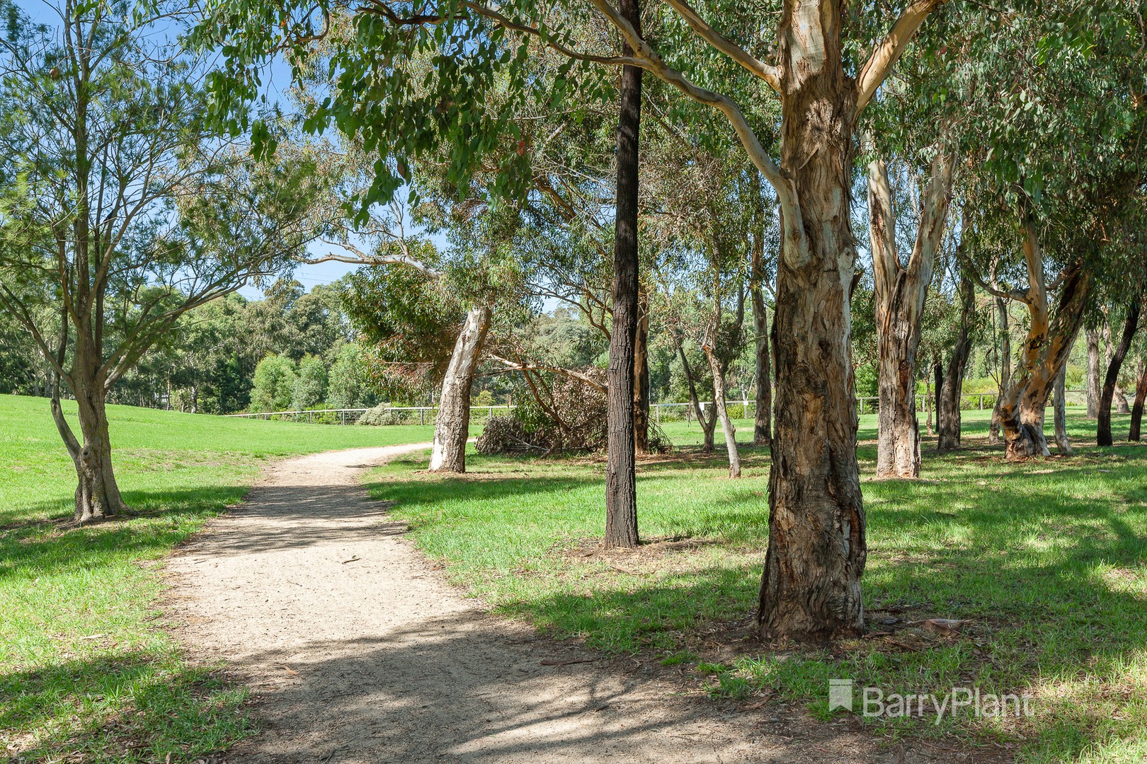 3 Nola StreetCoburg North, VIC 3058, Coburg North - Thumbnail 6