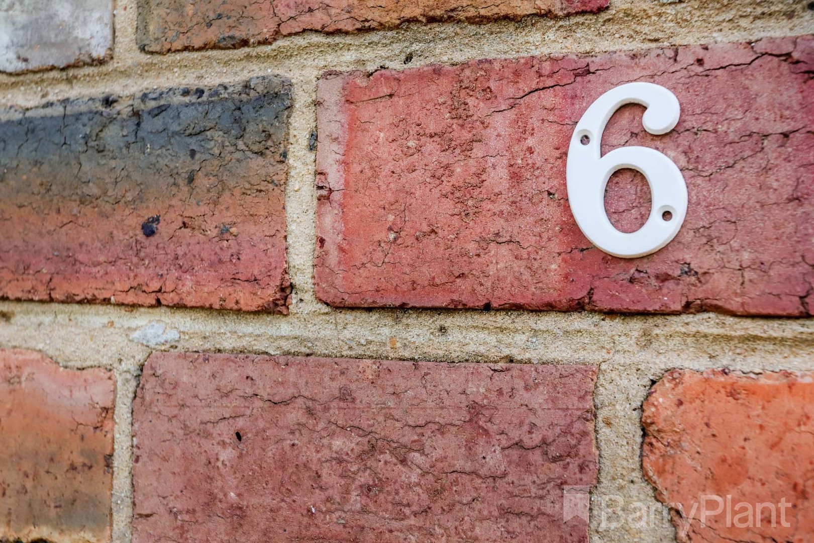 6 Wyalong StreetAlbion, VIC 3020, Albion - Thumbnail 4