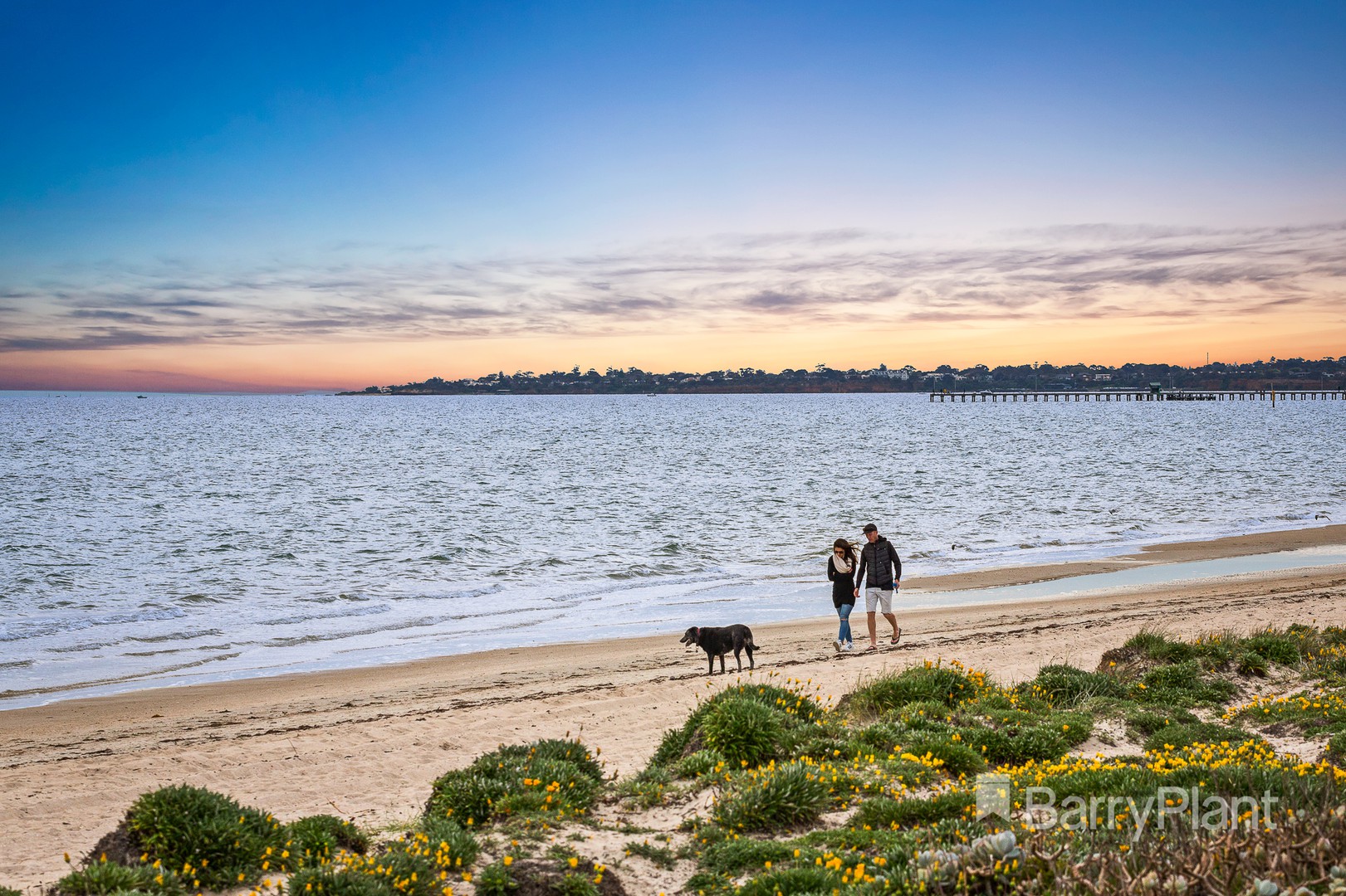 7 Birdwood StreetAspendale, VIC 3195, Aspendale - Thumbnail 6
