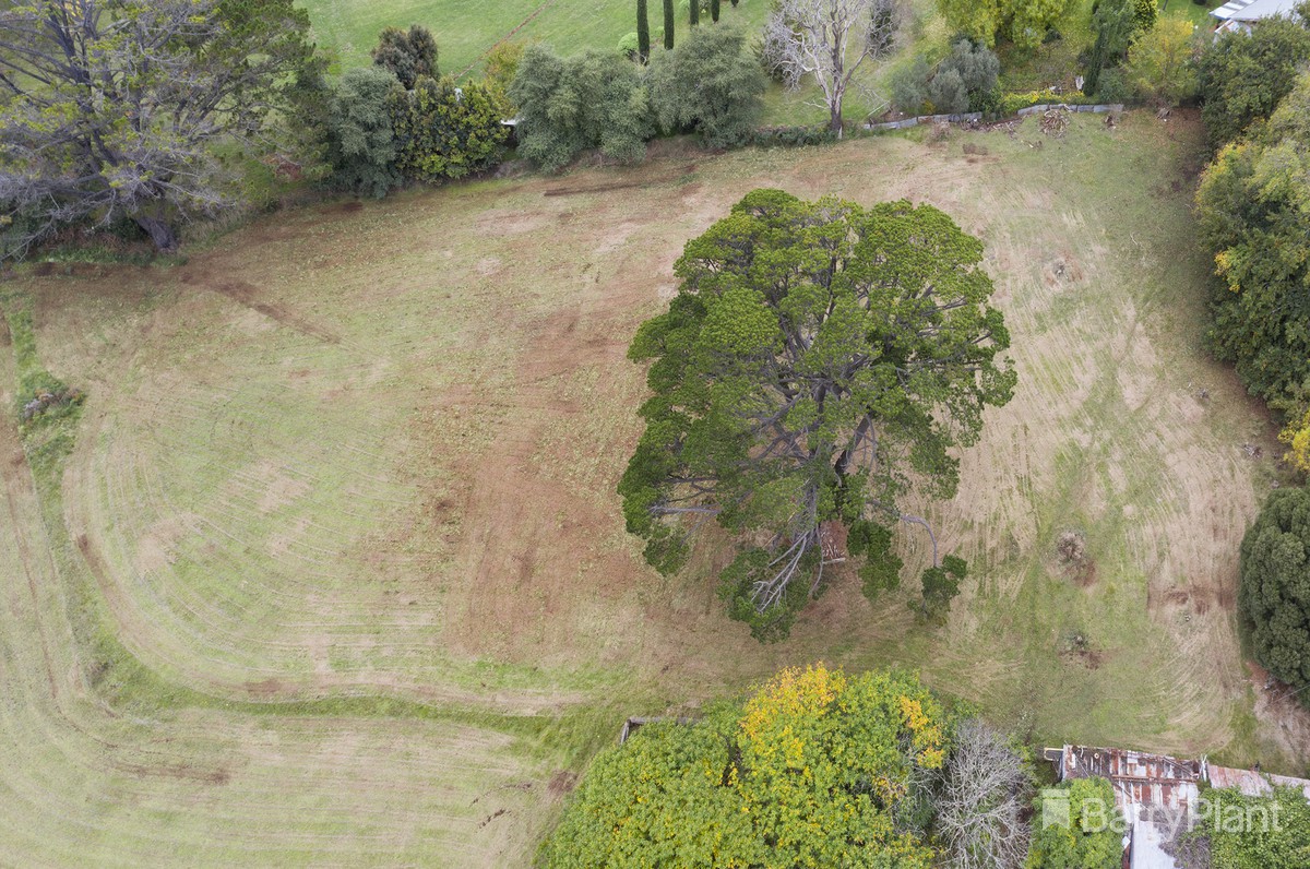 31 Avon RoadAvonsleigh, VIC 3782, Avonsleigh - Thumbnail 3