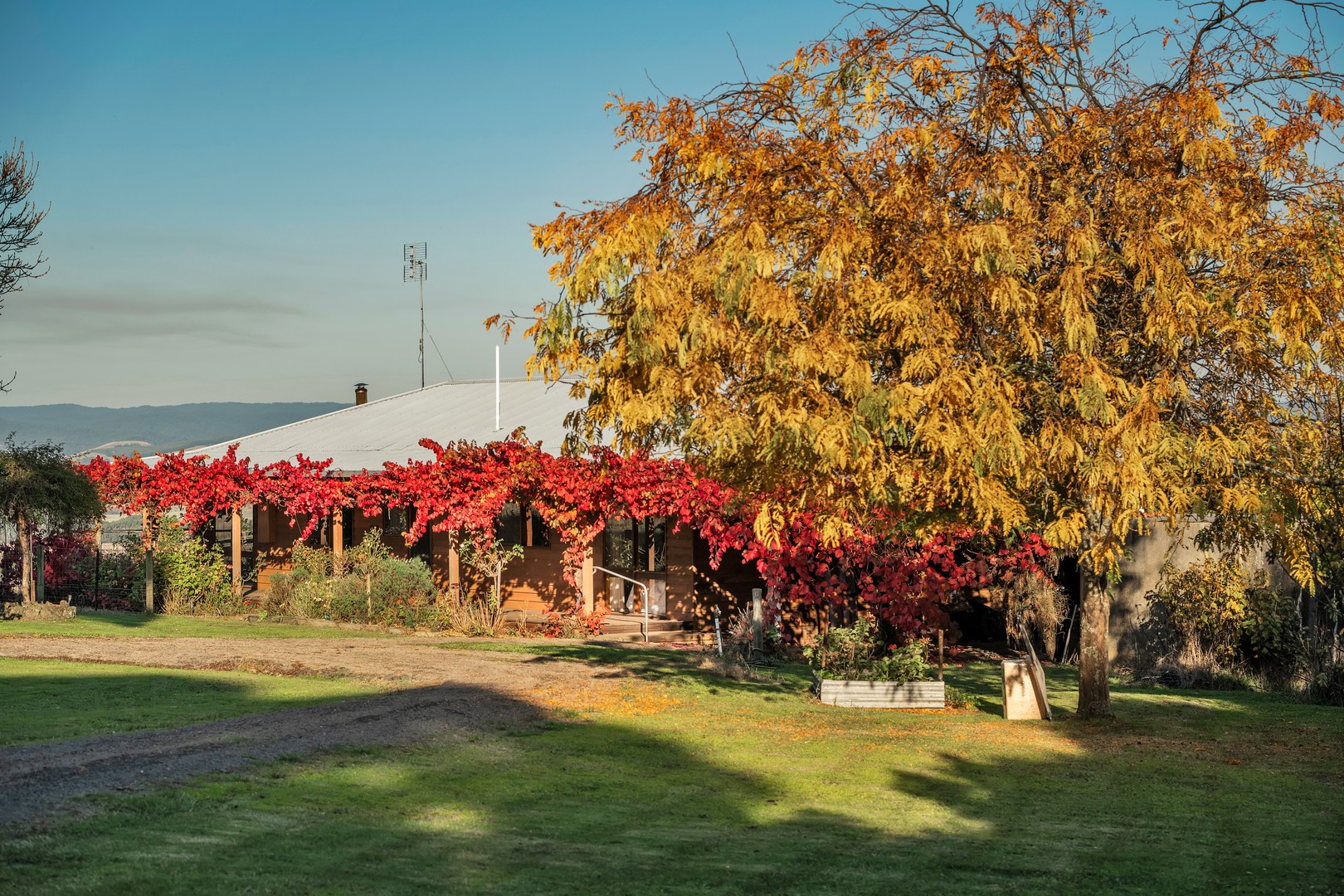 125 Boundary Hill RoadYeodene, VIC 3249, Yeodene - Thumbnail 4