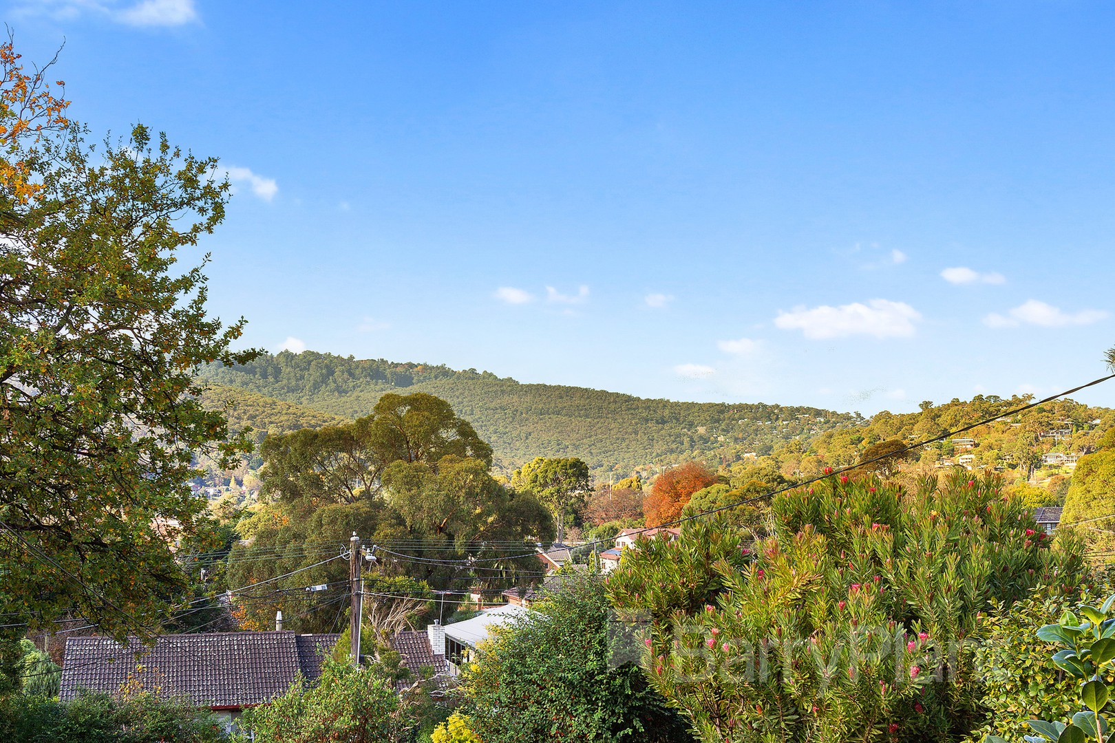 54 Nathan StreetFerntree Gully, VIC 3156, Ferntree Gully - Thumbnail 2