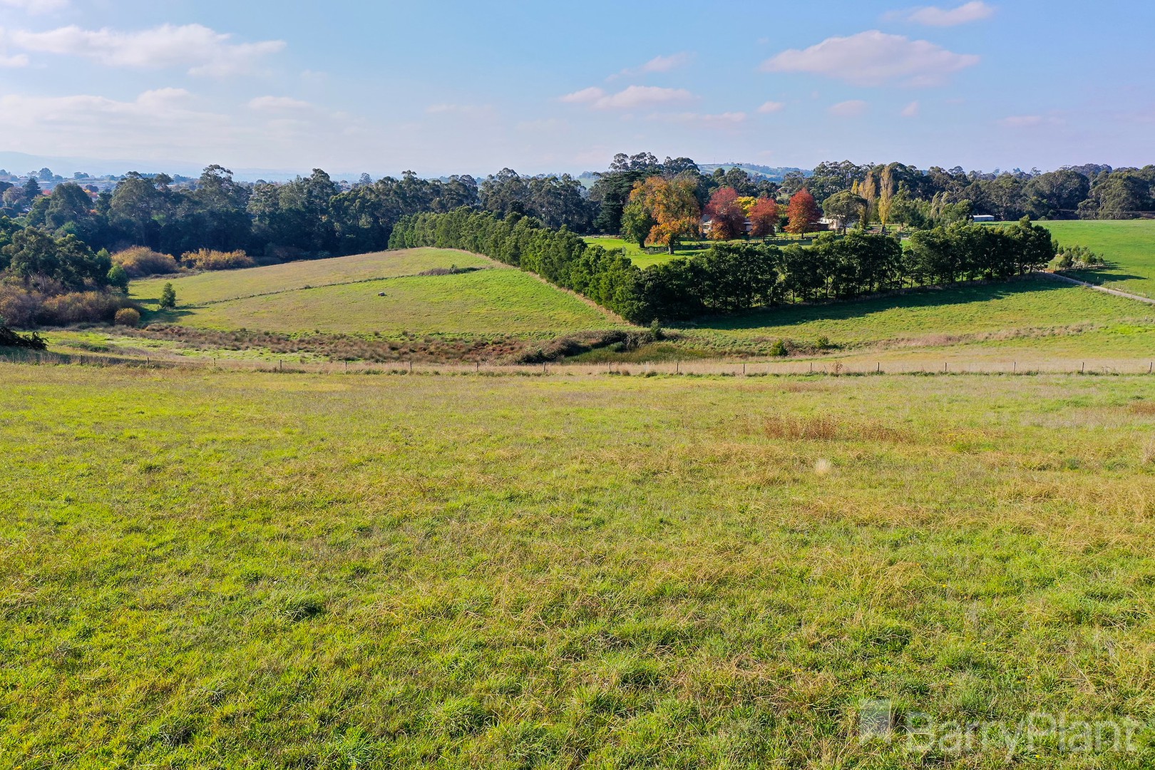 Lardner Road, Drouin, VIC, 3818, Drouin - Thumbnail 4