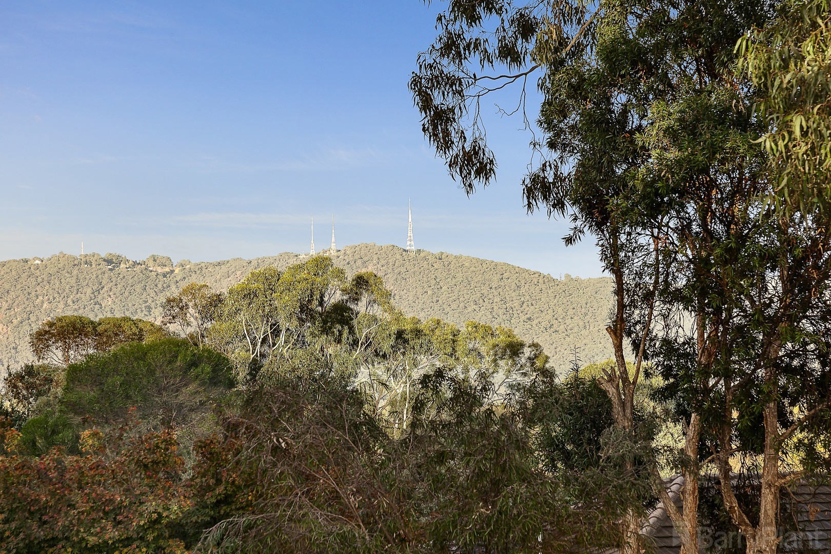 43A Coven AvenueHeathmont, VIC 3135, Heathmont - Thumbnail 3
