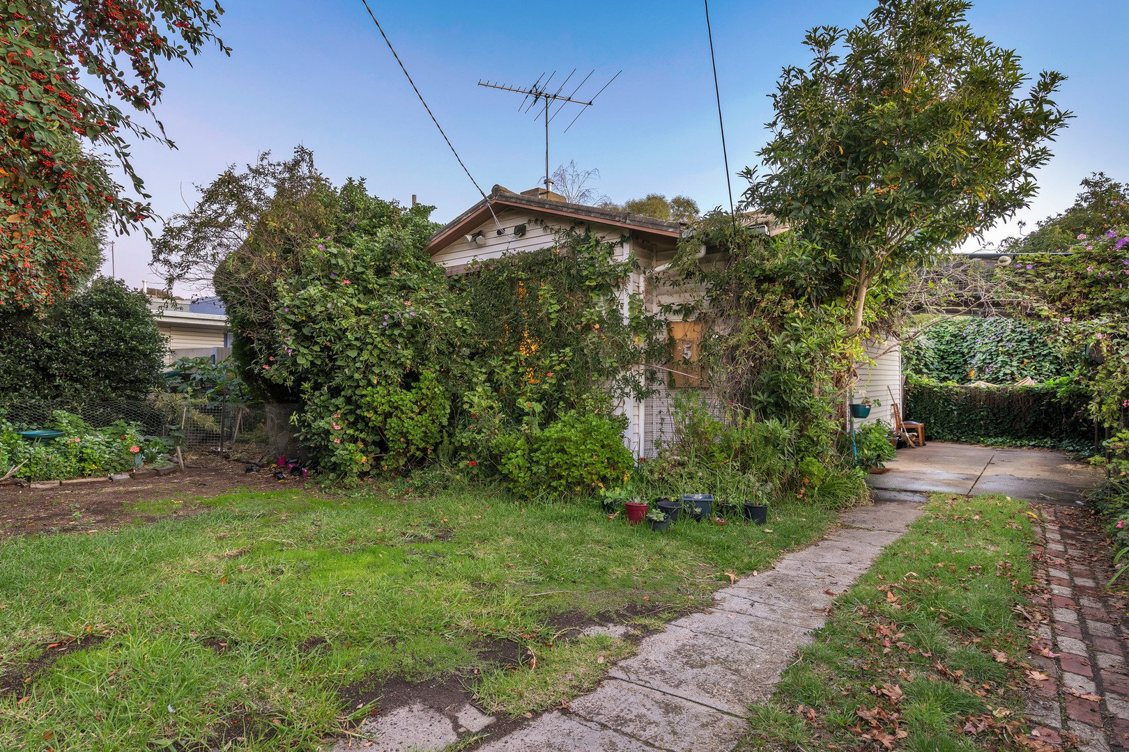 5 Warrawee AvenueNorlane, VIC 3214, Norlane - Thumbnail 2