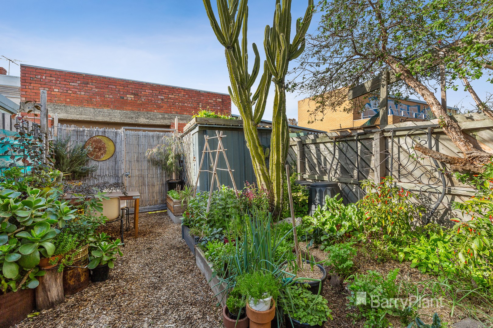 16 Brown StreetCoburg, VIC 3058, Coburg - Thumbnail 4