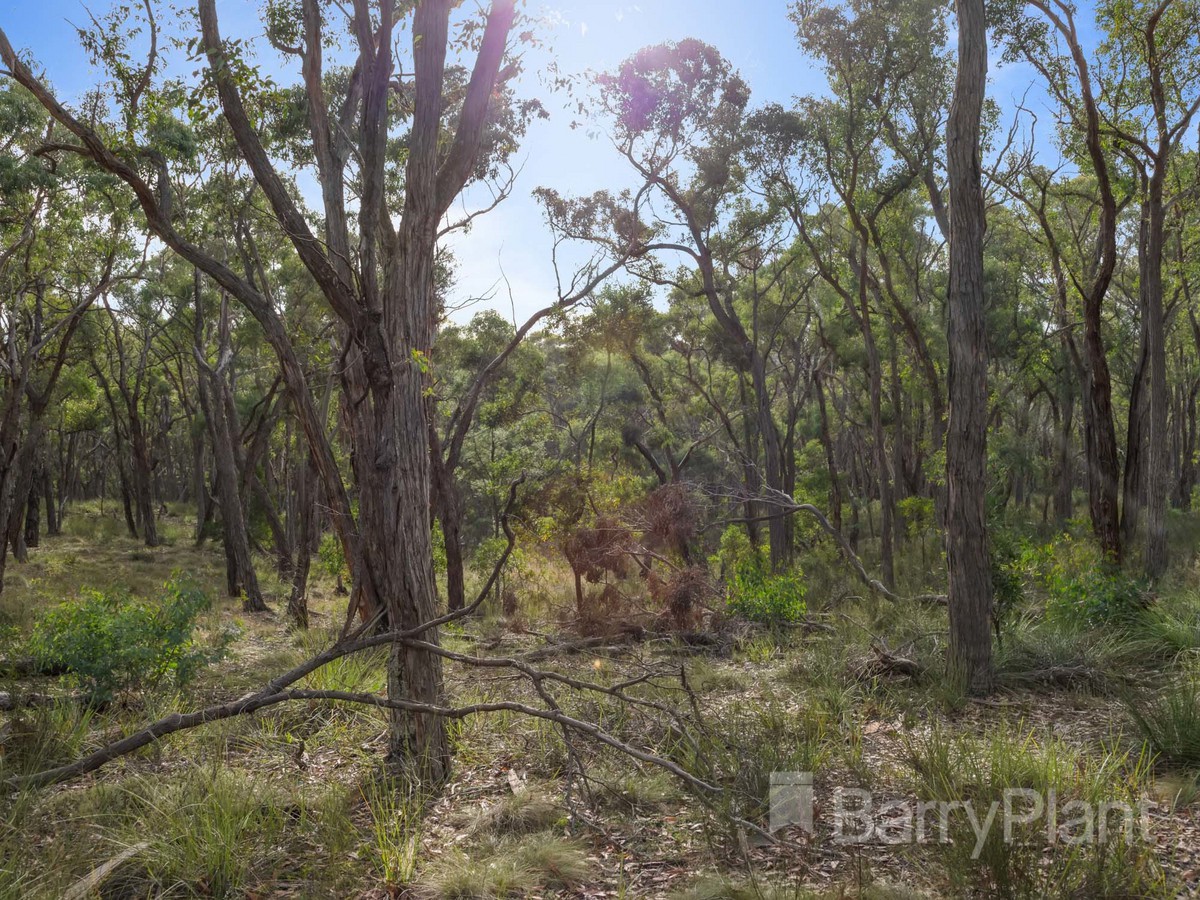 8A Browns RoadScarsdale, VIC 3351, Scarsdale - Thumbnail 4
