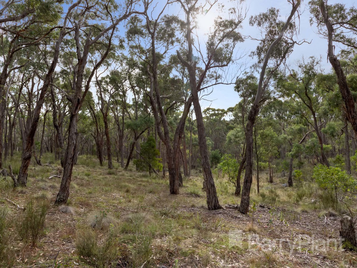 8A Browns RoadScarsdale, VIC 3351, Scarsdale - Thumbnail 5