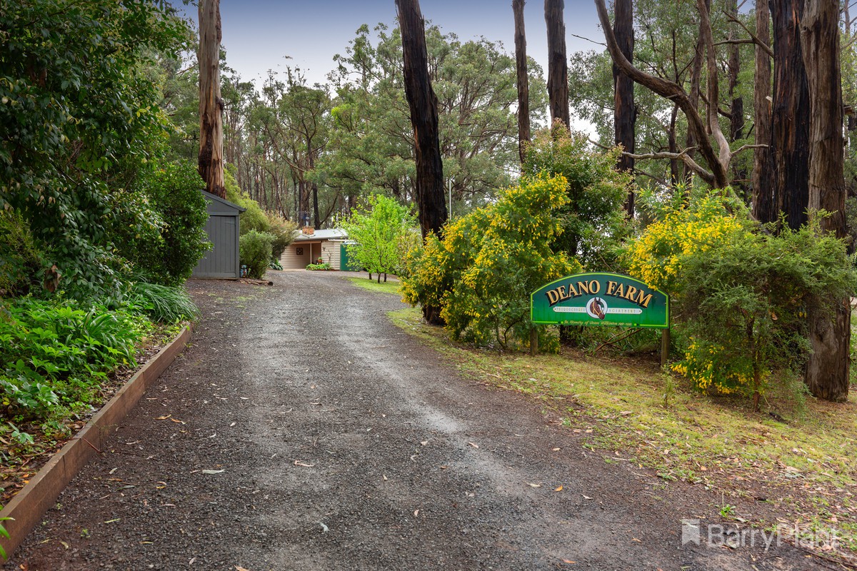 15 Coulson RoadMonbulk, VIC 3793, Monbulk - Thumbnail 3