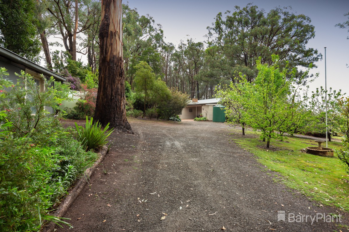 15 Coulson RoadMonbulk, VIC 3793, Monbulk - Thumbnail 5