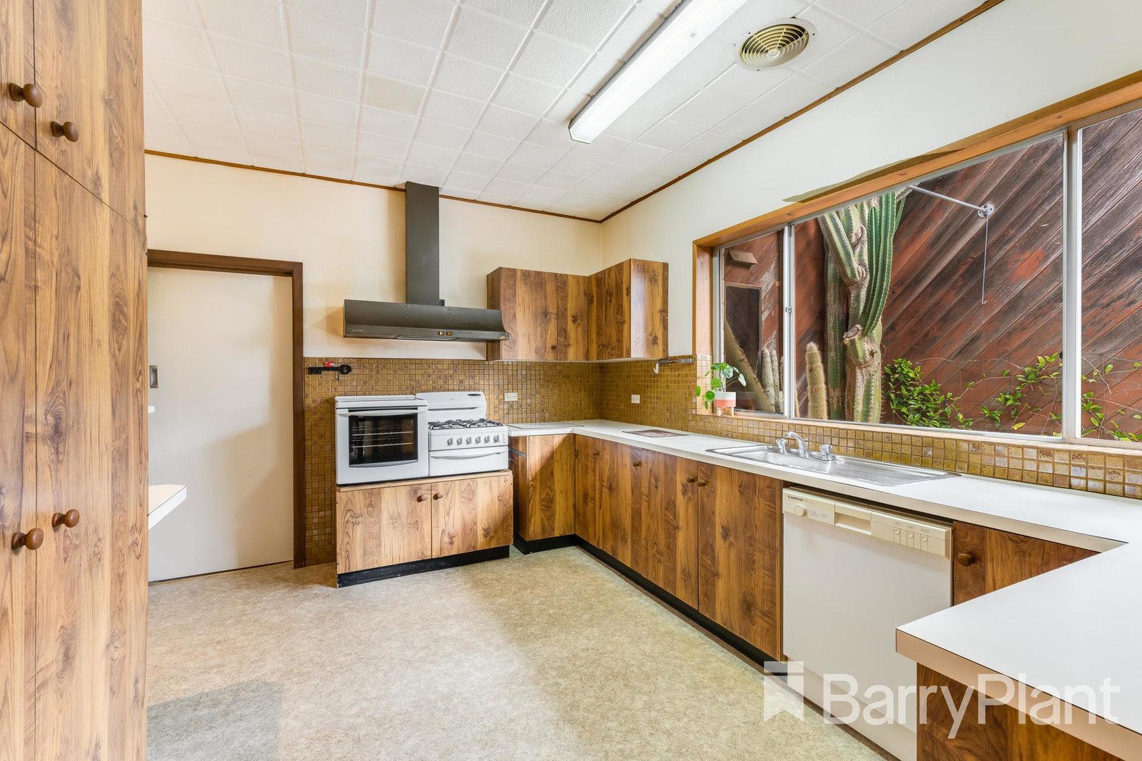 2 Morris StreetBelmont, VIC 3216, Belmont - Thumbnail 5
