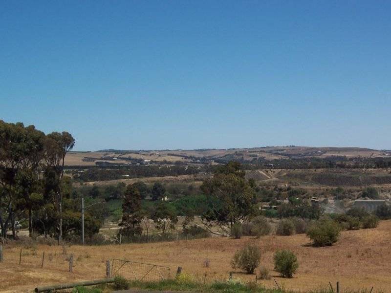 19 Hunt RoadHerne Hill, VIC 3218, Herne Hill - Thumbnail 3