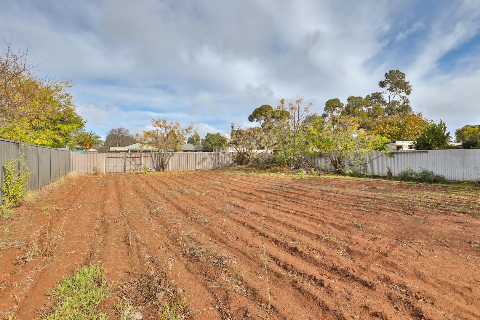 19 Warlen AvenueRobinvale, VIC 3549, Robinvale - Thumbnail 7