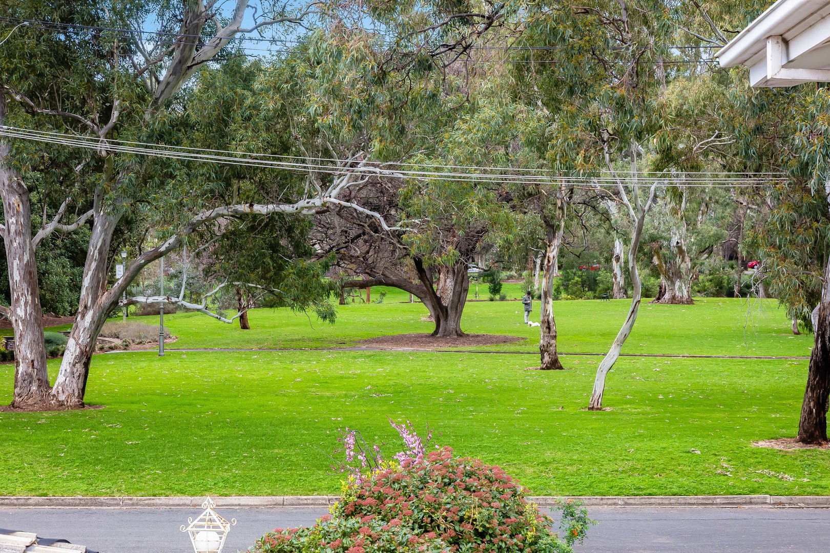 9/11 Hawthorn CrescentHazelwood Park, SA 5066, Hazelwood Park - Thumbnail 3