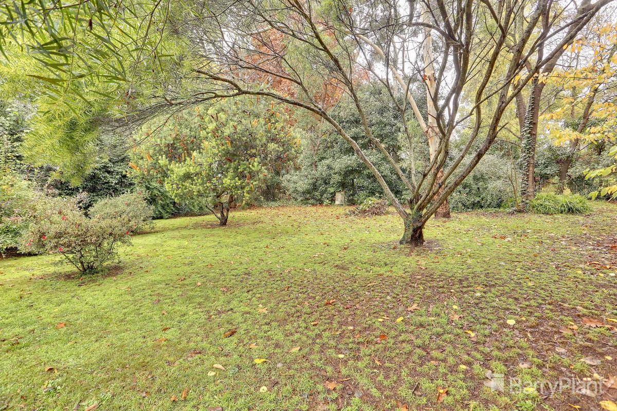 12 Princess AvenueEmerald, VIC 3782, Emerald - Thumbnail 3