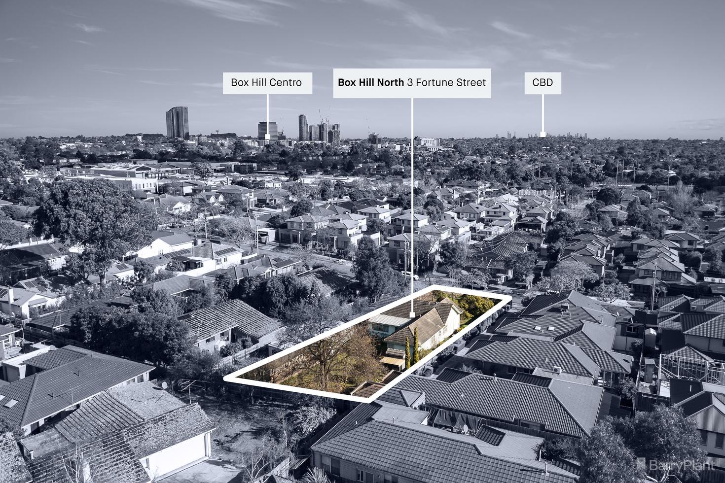 3 Fortune Street, Box Hill North, VIC 3129, Box Hill North - Thumbnail 8